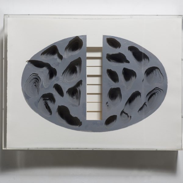 צִידוֹ הוָרוֹד של הצֶבַע האָפוֹר