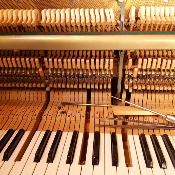 פסנתר הסיפורים הפנימי / למי את מקשיבה?