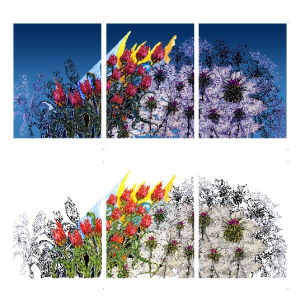 מתי גרינברג / "על קו פרשת המים-צבעוני ההרים והגדילן המצוי"  ביאנלה ירושלים לאמנות,2017