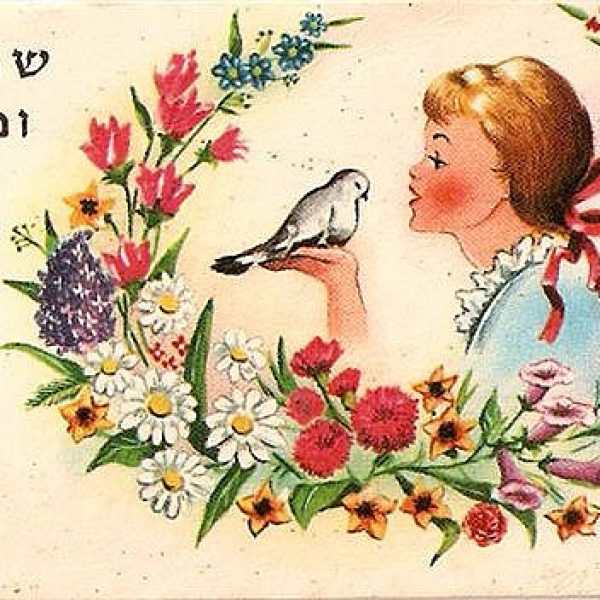עלילות סוּכִּי וצִיפְּרָא – ישישים חסרי מנוח