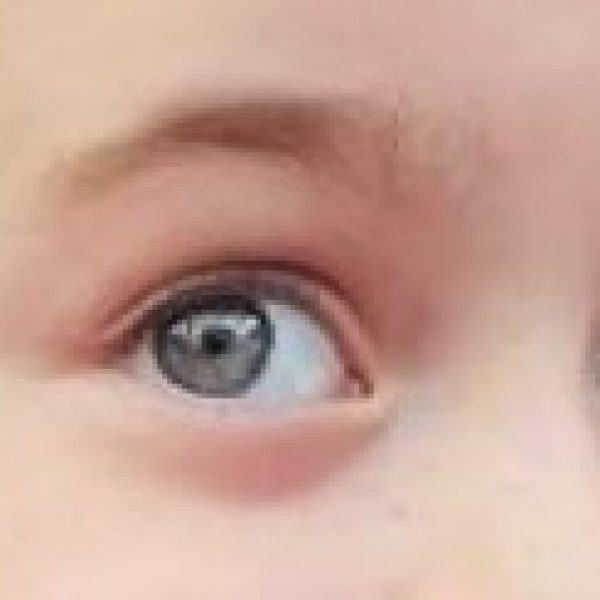 טוּר לקראת יוֹם כִּיפּוּר